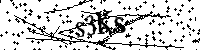 Bitte schreiben Sie die nächsten Buchstaben und Zahlen
