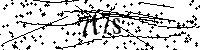 Bitte schreiben Sie die nächsten Buchstaben und Zahlen