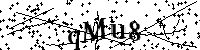 Veuillez écrire les lettres et numéros suivants