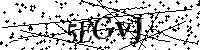 Bitte schreiben Sie die nächsten Buchstaben und Zahlen